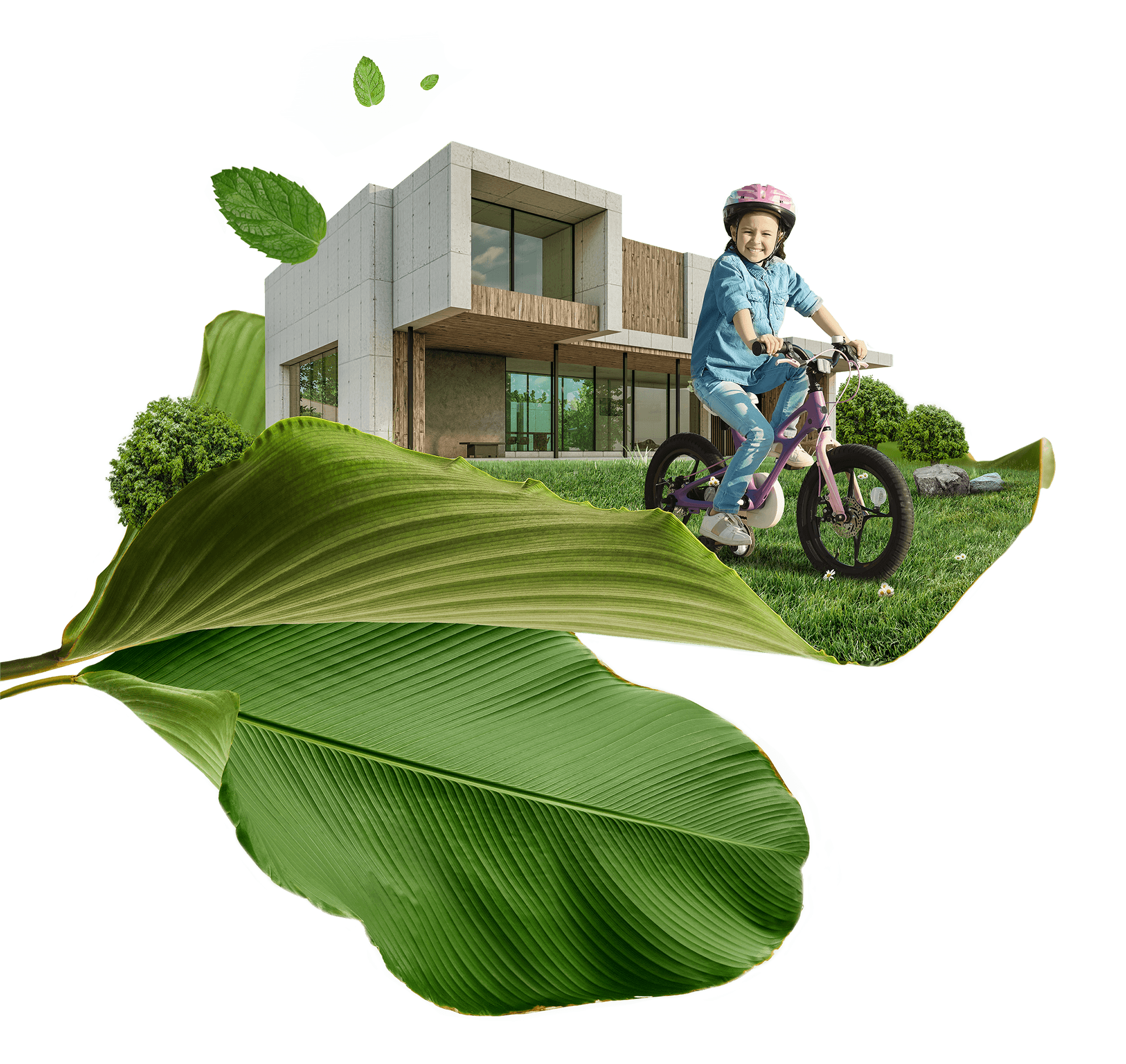 Professional Design Services